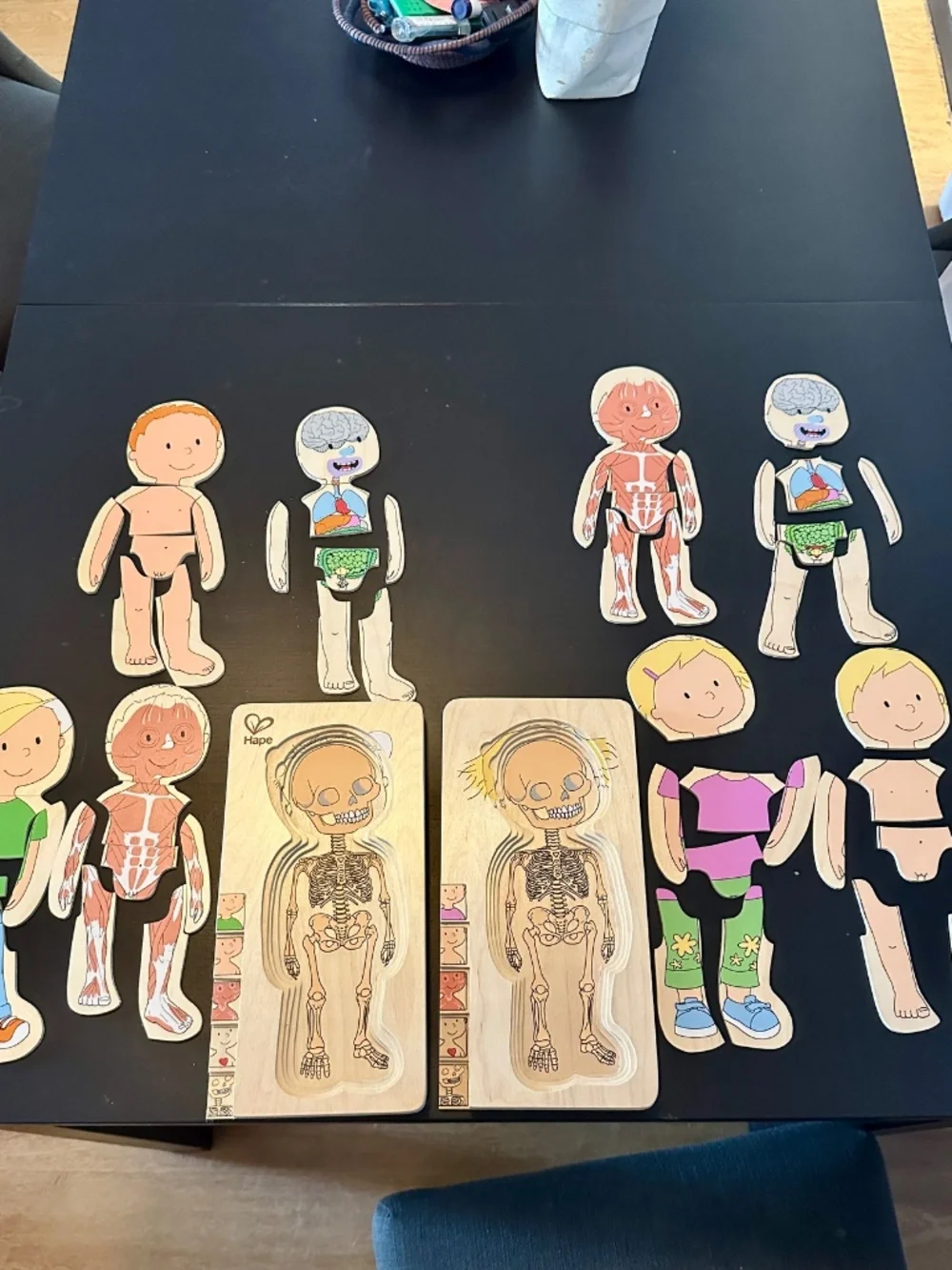 Hape Wooden Layered Anatomy Puzzles Boy & Girl Set of 2